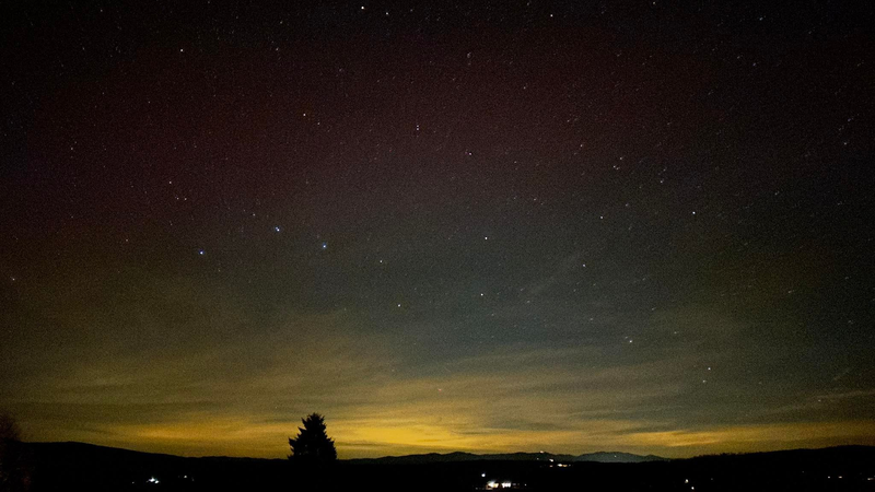 Jav nazývaný SAR, Detvianska Huta. Foto: Ján Hanes