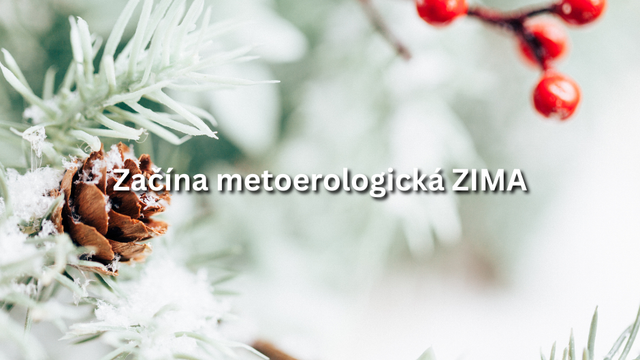 Jeseň definitívne končí. O pár dní nastáva meteorologická zima