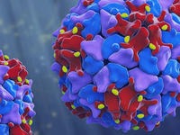 V odpadovej vode objavili nebezpečný vírus. Nie sme voči nemu 100 % imúnni