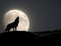 NAŽIVO: Slováci, oči na oblohu. Práve teraz prebieha astronomické divadlo