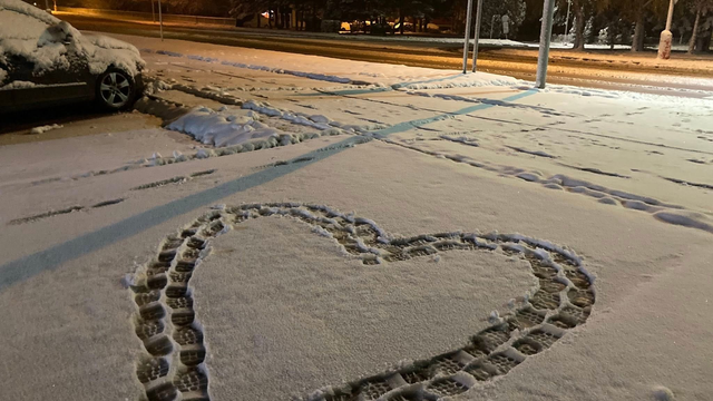 Biele FOTO: Celé Slovensko sa dočkalo prvého snehu. Nasnežilo aj v nížinách