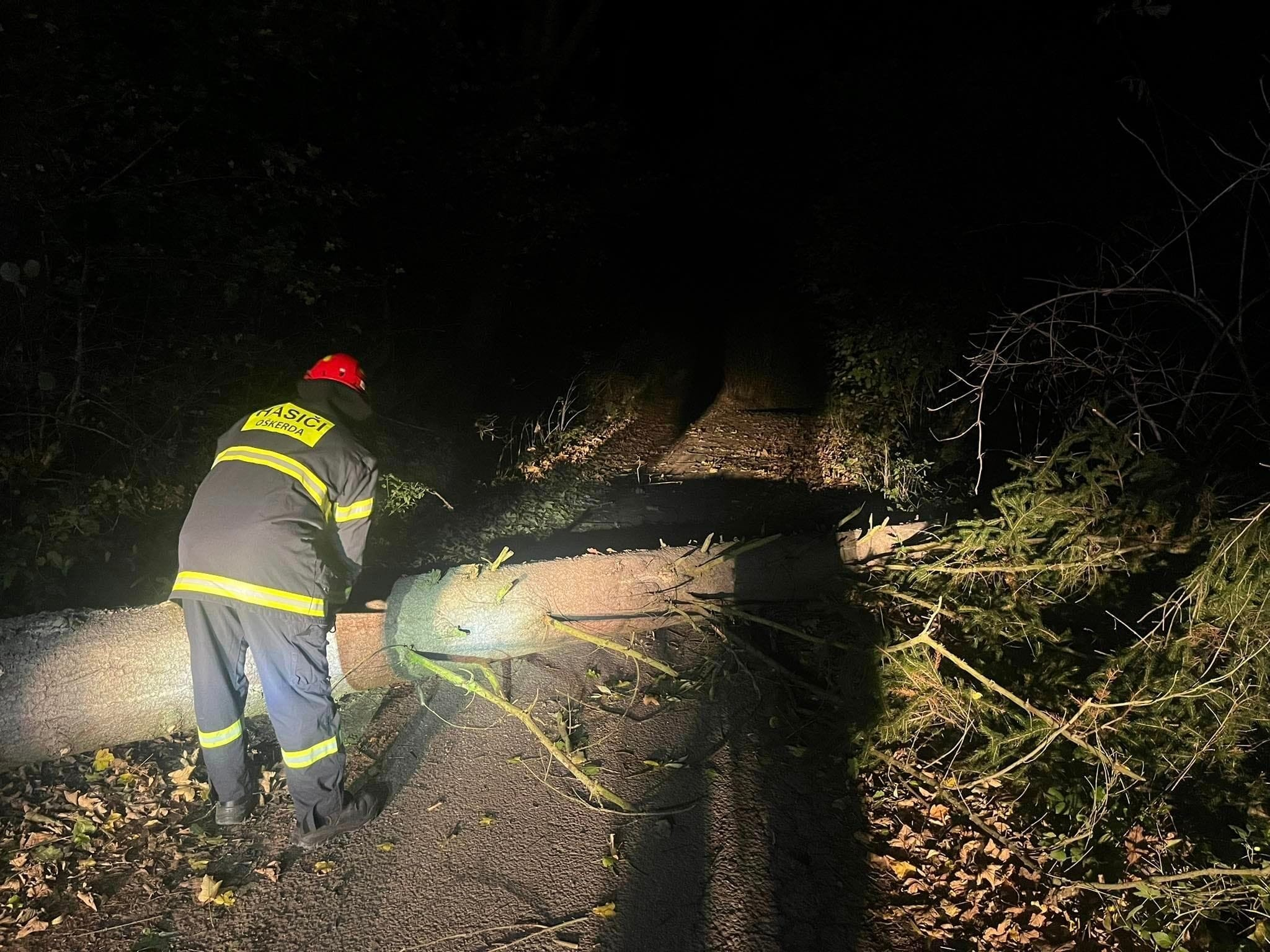 Slovakia Blackouts: Christmas Eve Power Outage Due to Wind - News Directory 3