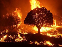 Teploty nebezpečne stúpajú, na svedomí majú už aj lesné požiare