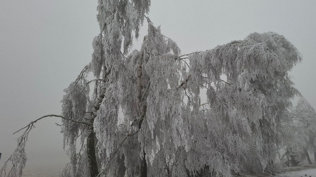 Na cesty padajú vetvy a stromy, hasiči majú pohotovosť. Udrela námraza a chystá sa ďalšie nebezpečné počasie