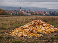 Nelegálne prikrmovanie zveri pri obci Veľká Lomnica vyvolalo obavy