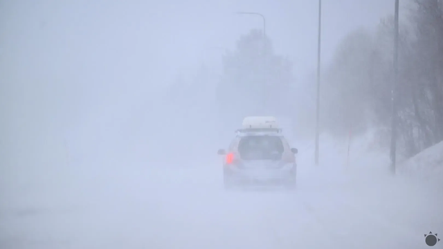 Víchrica zmietla autá z diaľnice a aj zabíjala. Na ženu spadol strom