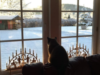 Veľká zmena v predpovedi: Vianoce prinesú SNEH a v týchto regiónoch môže byť biely Štedrý deň