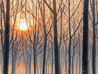 Žiadna kalamita nebude, teraz bude teplo. Dokonca pominú aj nočné mrazy