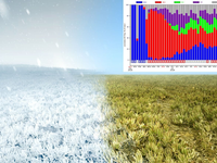 Konečne je na obzore zmena počasia. Vianoce budú zrejme prelomové