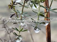 Predpoveď počasia na stredu. 17. decembra: Čaká nás už konečne zmena?