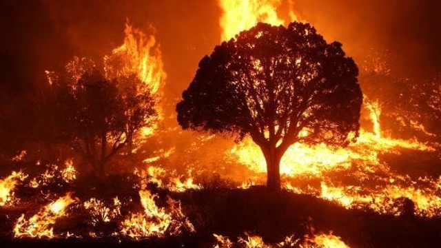 Teploty nebezpečne stúpajú, na svedomí majú už aj lesné požiare