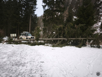 Víchrica v Tatrách. Padajúci strom zasiahol skupinku turistov