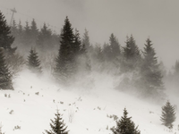 Túto noc príde na Slovensko sneženie. Bude to začiatok poriadnej zimy a dovalí sa aj vetrisko