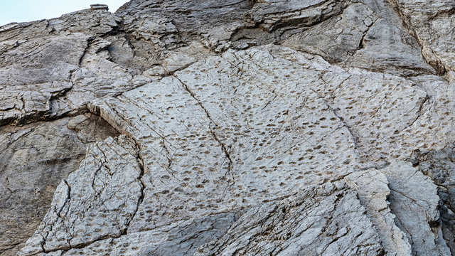 Išiel do hôr fotiť a urobil veľkolepý objav. Našiel tisíce stôp dinosaurov