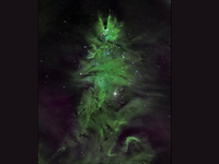 Vianočný stromček vo vesmíre: Ide o hoax alebo naozajstnú hviezdokopu?