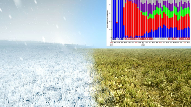 Konečne je na obzore zmena počasia. Vianoce budú zrejme prelomové