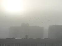 Slovákom chýba slnko: V nížinách ho nevideli takmer dva týždne a zlepšenie tak skoro nepríde