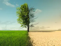 Najnovšie modely počítajú s nečakane rýchlym nástupom El Niño v roku 2026