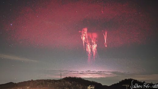 Červení škriatkovia sa opäť nechali vidieť. Objavili sa pri nich aj vzácni ELFOVIA