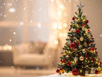 Umelý, živý či v kvetináči? Hľadáme najkrajší vianočný stromček