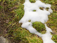 Kam sa podel všetok sneh? Tak málo snehu tu nebolo posledných 20 rokov