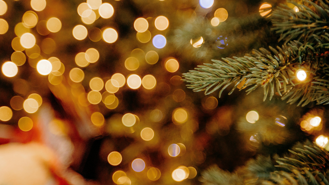 S vianočným stromčekom si do domu môžete priviesť aj neželaného hosťa. Riziko je vysoké