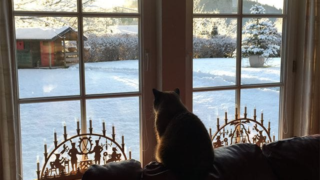 Veľká zmena v predpovedi: Vianoce prinesú SNEH a v týchto regiónoch môže byť biely Štedrý deň