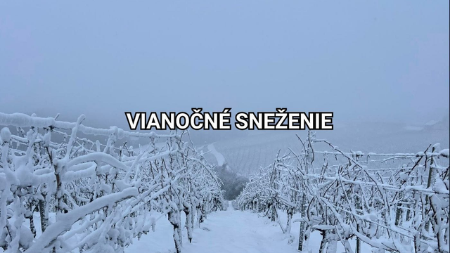 Zasypal ich sneh, napadlo najviac snehu za posledné roky. Slovensko zasiahli zvyšky