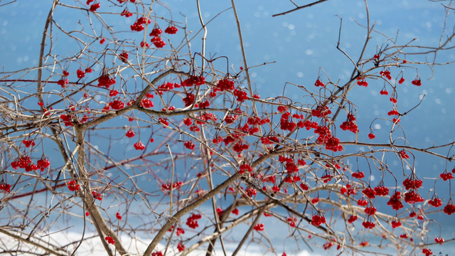 Šokujúci december na Slovensku! Počasie ako v roku 1934 – rekord je na dosah