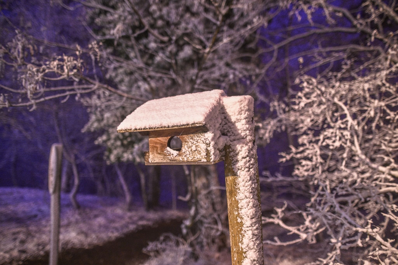 Snehová nádielka pristála aj v Maďarsku. Foto: József Kurdi