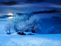 Posledný veľkolepý spln 2025: Čo očakávať pri supermesiaci v decembri?