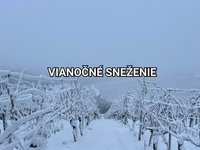 Zasypal ich sneh, napadlo najviac snehu za posledné roky. Slovensko zasiahli zvyšky