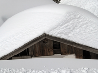 Prečo sú zimy čoraz miernejšie a snehu ubúda? Dôvody, ktoré menia zimu v Európe