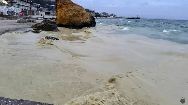 Čierne more pokrýva zvláštna škvrna, ktorá zabíja vtáky. Nejde však o ropu