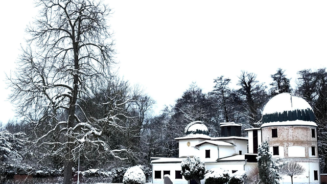 Toto sa nestalo vyše desať rokov: V Hurbanove zaznamenali sériu „ľadových dní“