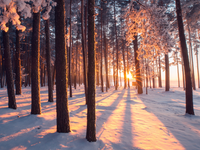 Prečo potrebujeme zimu s mrazom a snehom? Bez nich budeme mať problém