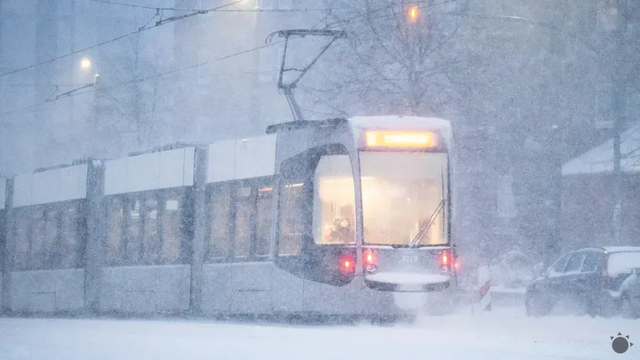 Doprava úplne skolabovala, školy zatvorili, sneh všetko zasypal. Vyhlásili stav núdze