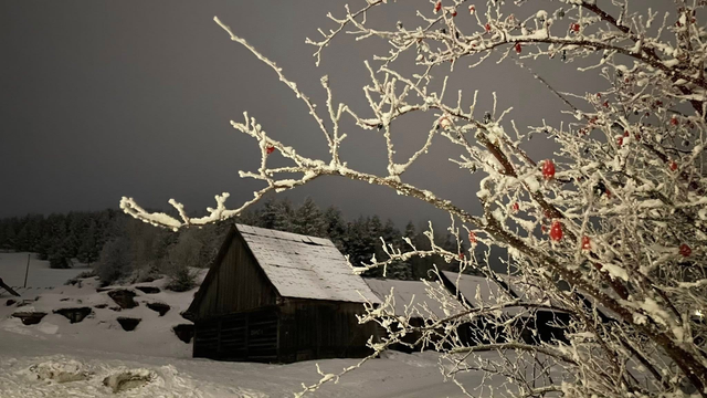 Cesty pokryl čerstvý sneh: V týchto oblastiach jazdite opatrne