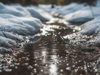 Topenie snehu sa na Slovensku zrýchli. Bude až +10 °C a pridá sa výdatný dážď. Toky budú rásť