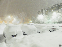 FOTO: Balkán zasypáva sneh. V tomto hlavnom meste nasnežilo už 50 cm snehu