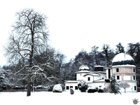 Toto sa nestalo vyše desať rokov: V Hurbanove zaznamenali sériu „ľadových dní“