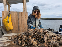 Z vesmíru rovno na tanier. Dáta NASA menia spôsob, akým farmári pestujú ustrice