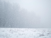 Objavujú sa prvé snehové vločky: Kam dnes príde sneženie?