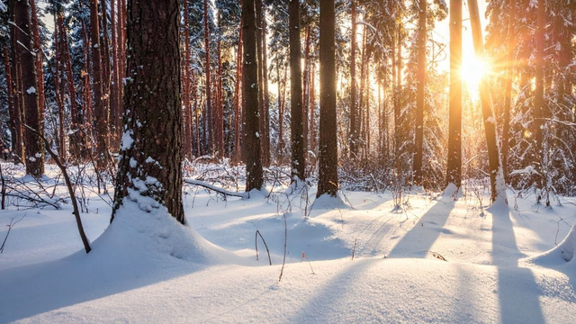 Počasie, aké sme tu už dlho nemali. Zmena začne v nedeľu