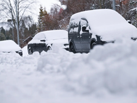 Jazerný efekt priniesol desiatky centimetrov snehu. Zrušili vyučovanie v školách