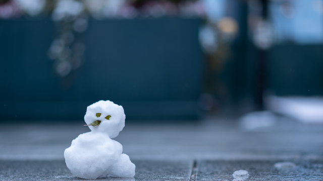 Slovensko opäť bojuje so suchom: Pomôže nám topiaci sneh zachrániť úrodu?