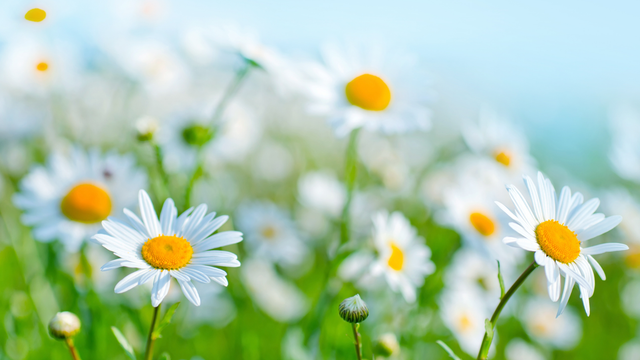 Predpoveď na jar 2026: Európu čaká meteorologický reset