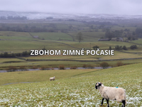 Zimné počasie končí. Sneženie sa mení na dážď a teraz príde prudký odmäk a teploty až do +10 °C