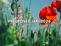 MODELY na jar 2026 predpovedajú chladný obrat. Kedy bude na Slovensku konečne teplo?