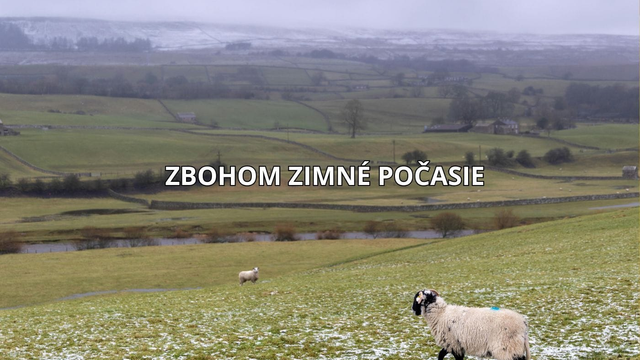 Zimné počasie končí. Sneženie sa mení na dážď a teraz príde prudký odmäk a teploty až do +10 °C